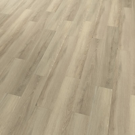 Projectline 55224 Dub Trento